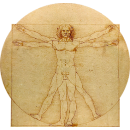 L homme de Vitruve