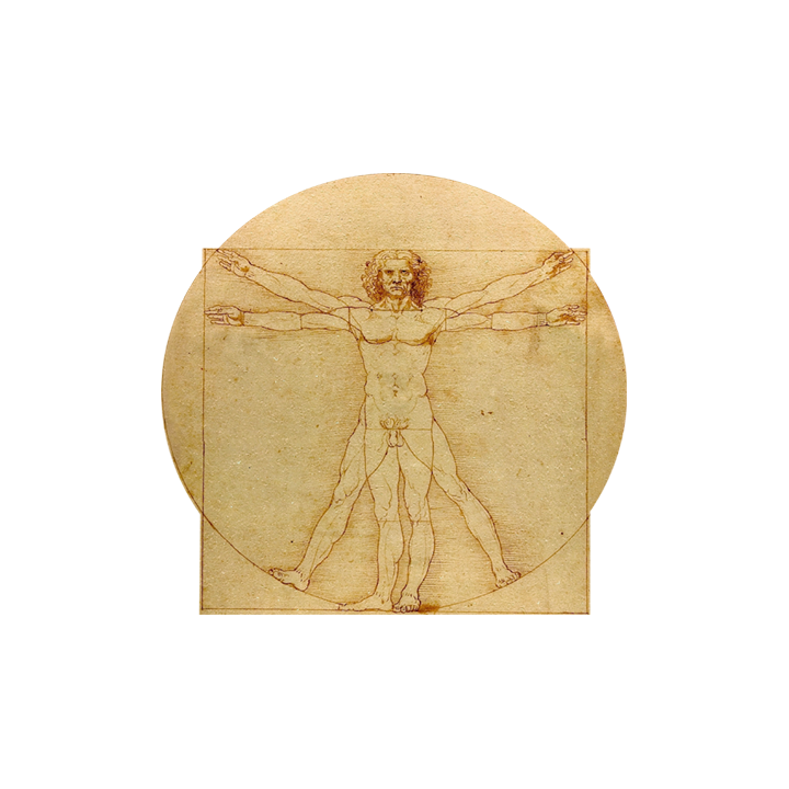 L homme de Vitruve