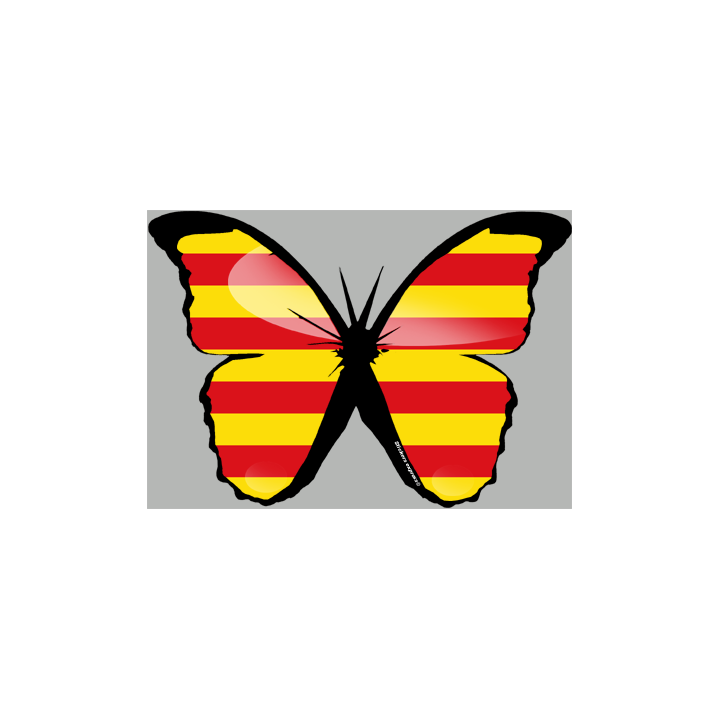 effet papillon Portugais