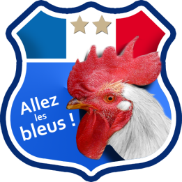 Stickers / autocollant Allez les bleus !