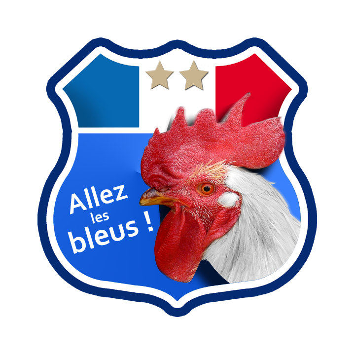 Stickers / autocollant Allez les bleus !