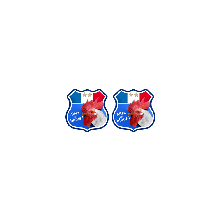 Stickers / autocollant Allez les bleus !