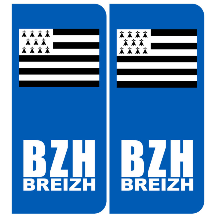immatriculation BZH