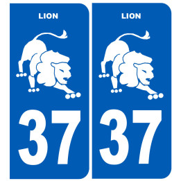 pictogramme Ballon interdit