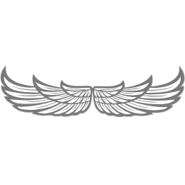 Sticker autocollant charge maximum 20 KG