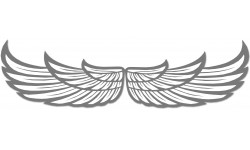 Sticker autocollant charge maximum 20 KG