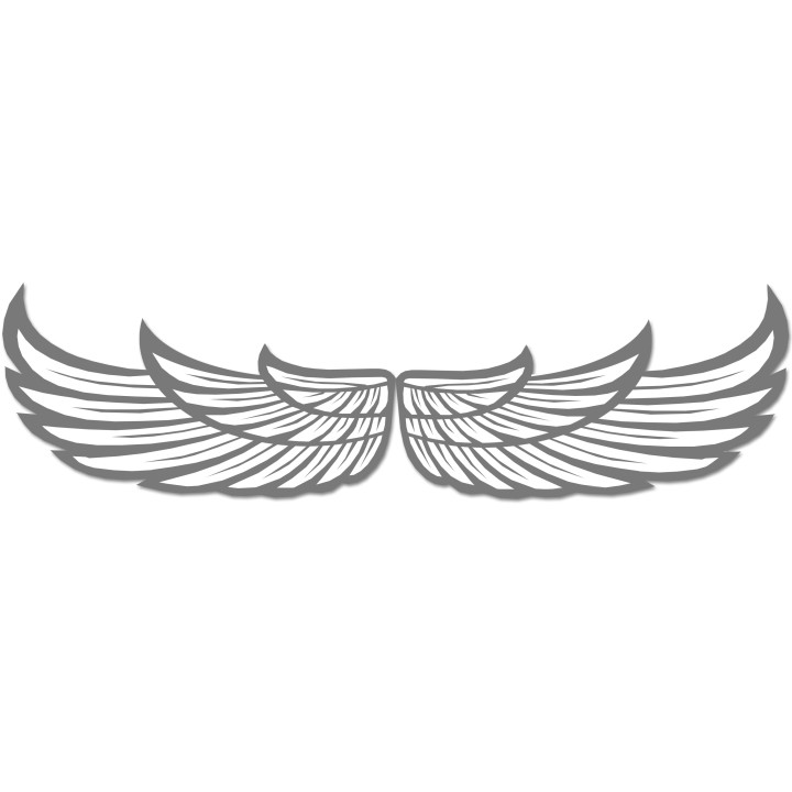 Sticker autocollant charge maximum 20 KG