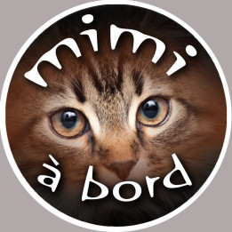 Toutou à bord