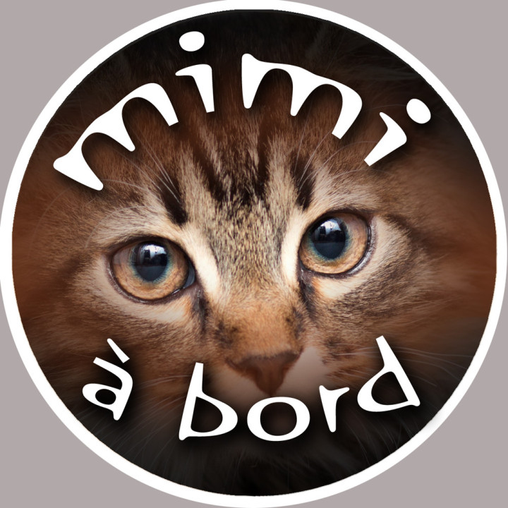 Toutou à bord