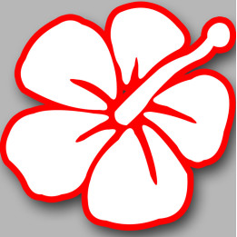 fleurs 1