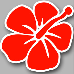 fleurs 2