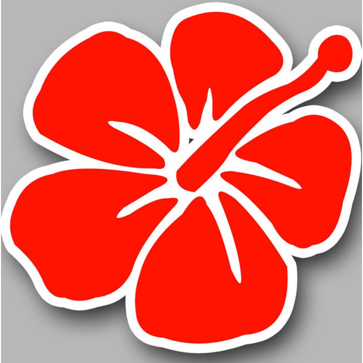 fleurs 2