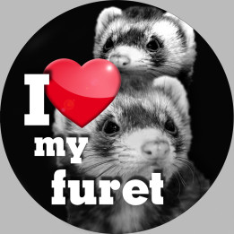 furets
