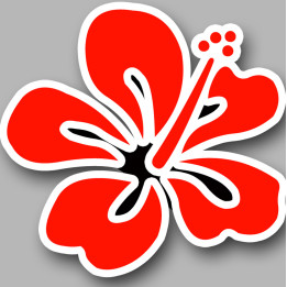 fleurs 7