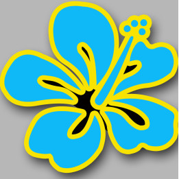 fleurs 9