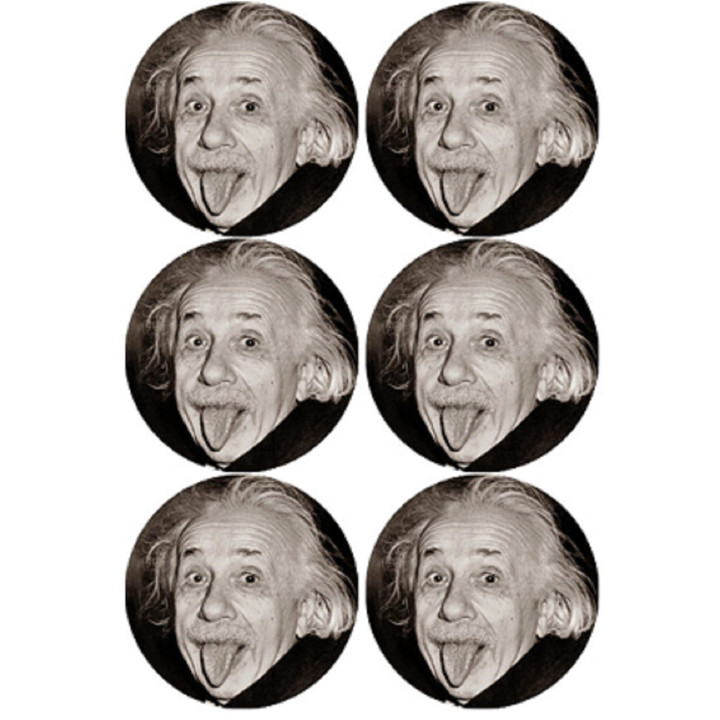 Albert Einstein - 6 stickers de 9 cm