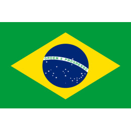 drapeau Brésilien