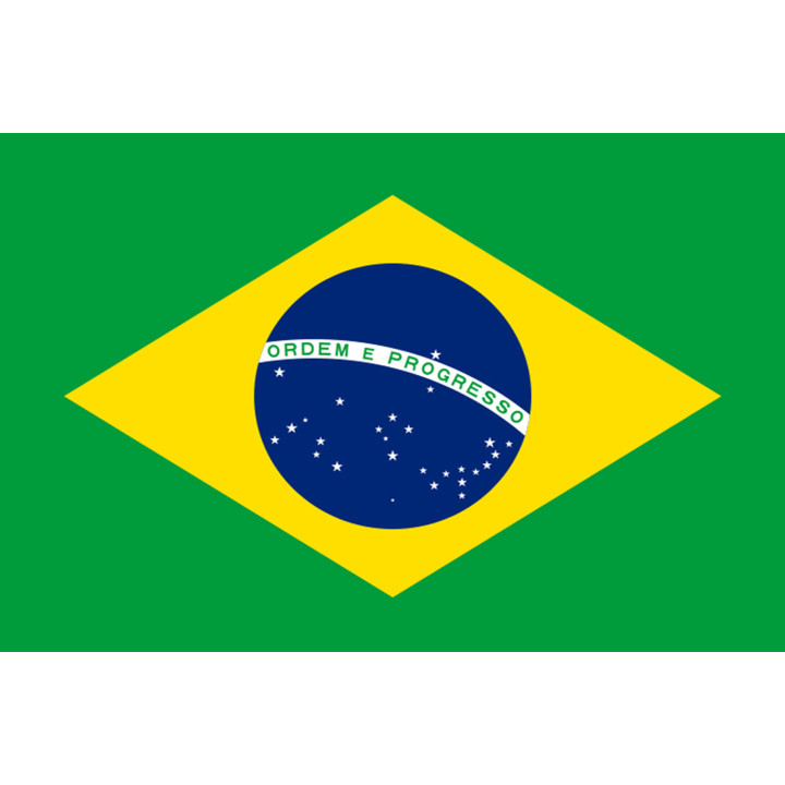drapeau Brésilien