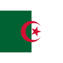 Drapeau Algérie (19.5x13cm)