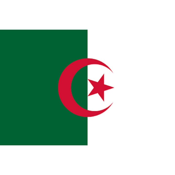 Drapeau Algérie (19.5x13cm)
