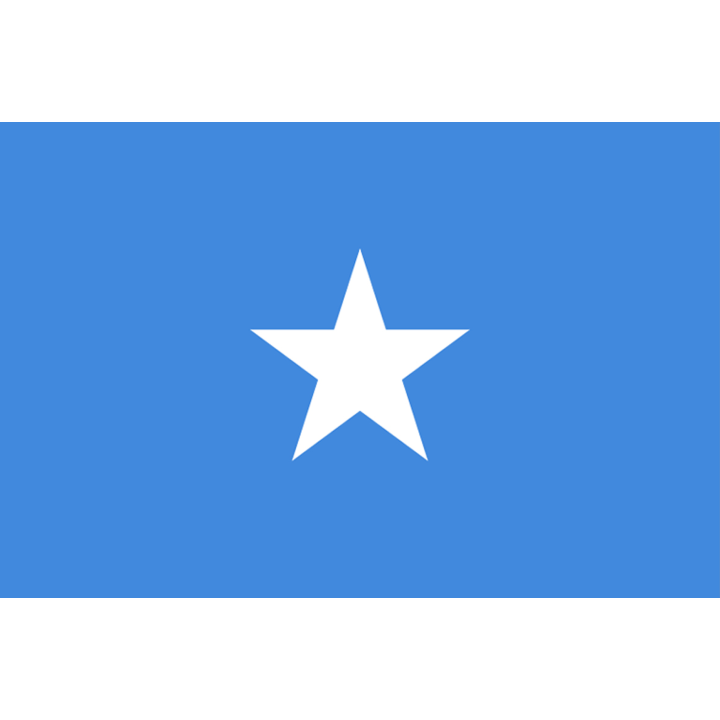 Drapeau Somalie (5 x 3.3 cm) - Sticker/autocollant