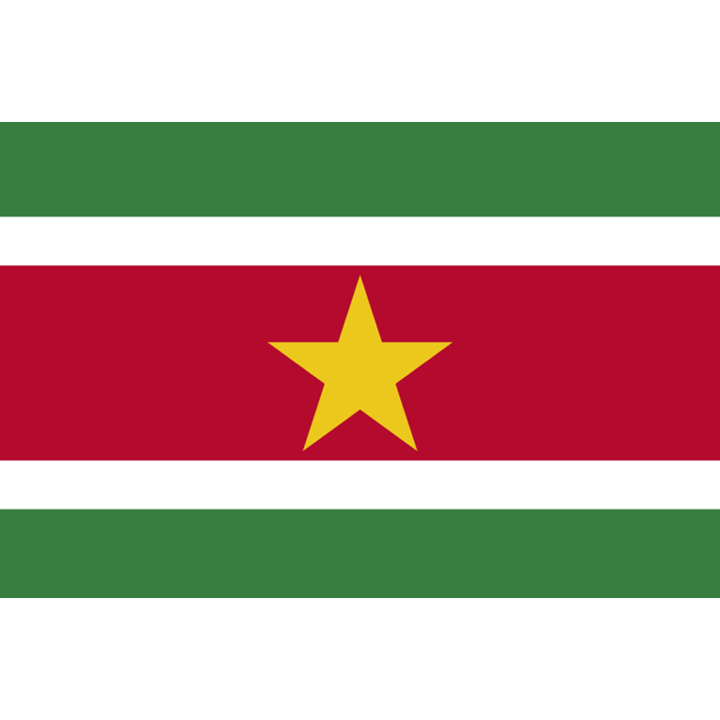 Drapeau Suriname (15 x 10 cm) - Sticker/autocollant