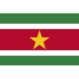 Drapeau Suriname (5 x 3.3 cm) - Sticker/autocollant