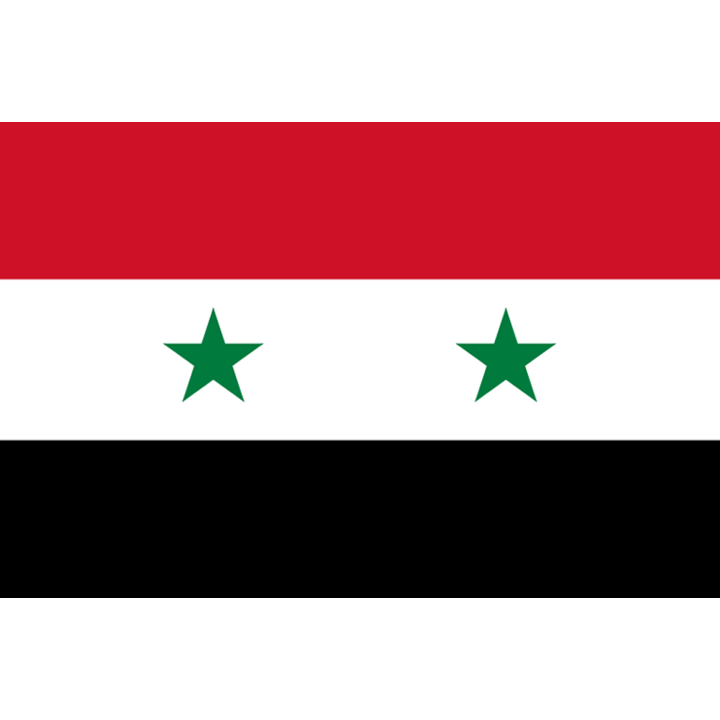 Drapeau Syrie av.2024 (15 x 10 cm) - Sticker/autocollant