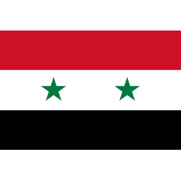 Drapeau Syrie av.2024 (5 x 3.3 cm) - Sticker/autocollant