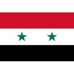 Drapeau Syrie av.2024 (5 x 3.3 cm) - Sticker/autocollant