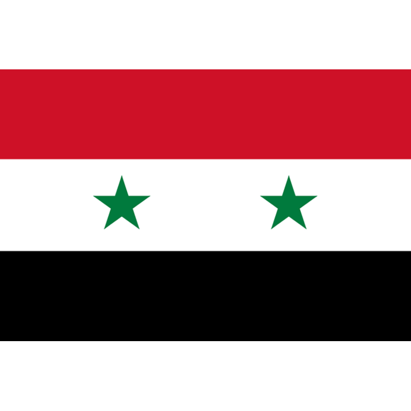 Drapeau Syrie av.2024 (5 x 3.3 cm) - Sticker/autocollant