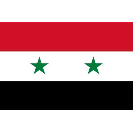 Drapeau Syrie av.2024 (5 x 3.3 cm) - Sticker/autocollant