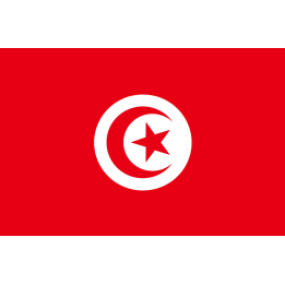 Drapeau Tunisie (19.5 x 13 cm) - Sticker/autocollant