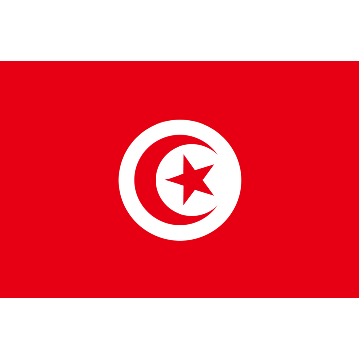 Drapeau Tunisie (19.5 x 13 cm) - Sticker/autocollant