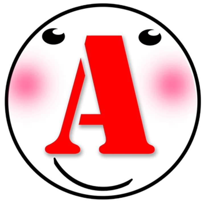 A jeune conducteur modèle n°3 (15cm) - Sticker/autocollant