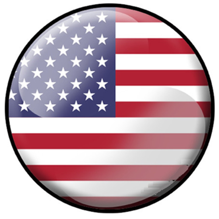 Drapeau Américain (5cm) - Sticker/autocollant