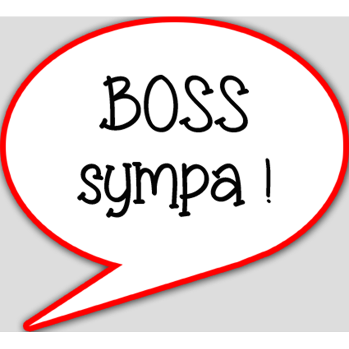 Boss sympa (15x13.5cm) - sticker/autocollant