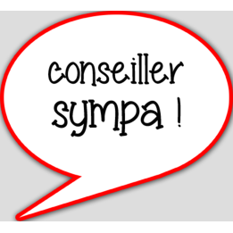 Conseiller sympa (15x13.5cm) - sticker/autocollant