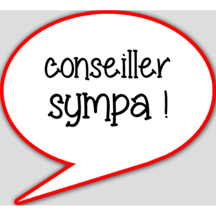 Conseiller sympa (15x13.5cm) - sticker/autocollant