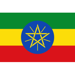 Drapeau Ethiopie - 19.5x13cm - Sticker/autocollant