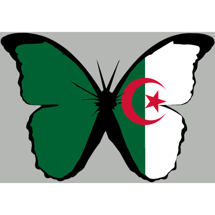 effet papillon Algérien - 15x10.5cm - Sticker/autocollant