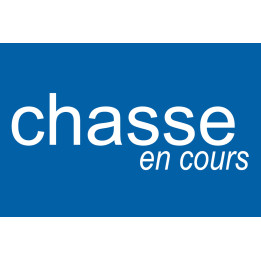 chasse en cours - 10x6.5cm - Sticker/autocollant
