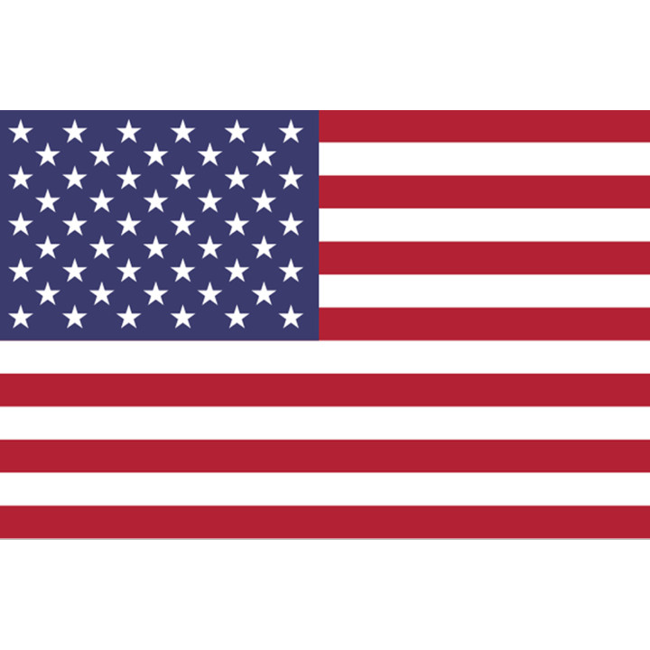 Drapeau États-Unis (5x3.3cm) - Sticker/autocollant