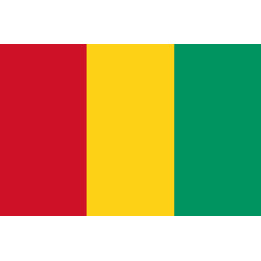 Drapeau Guinée (5x3.3cm) - Sticker/autocollant