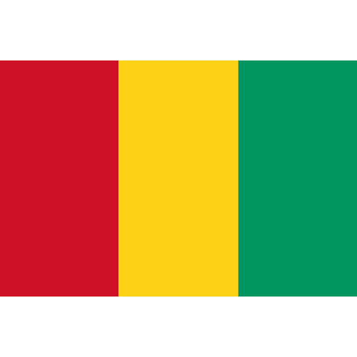 Drapeau Guinée (5x3.3cm) - Sticker/autocollant