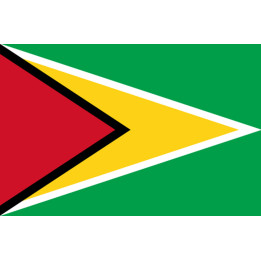 Drapeau Guyana - (19.5x13cm) - Sticker/autocollant