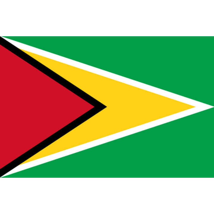 Drapeau Guyana - (19.5x13cm) - Sticker/autocollant