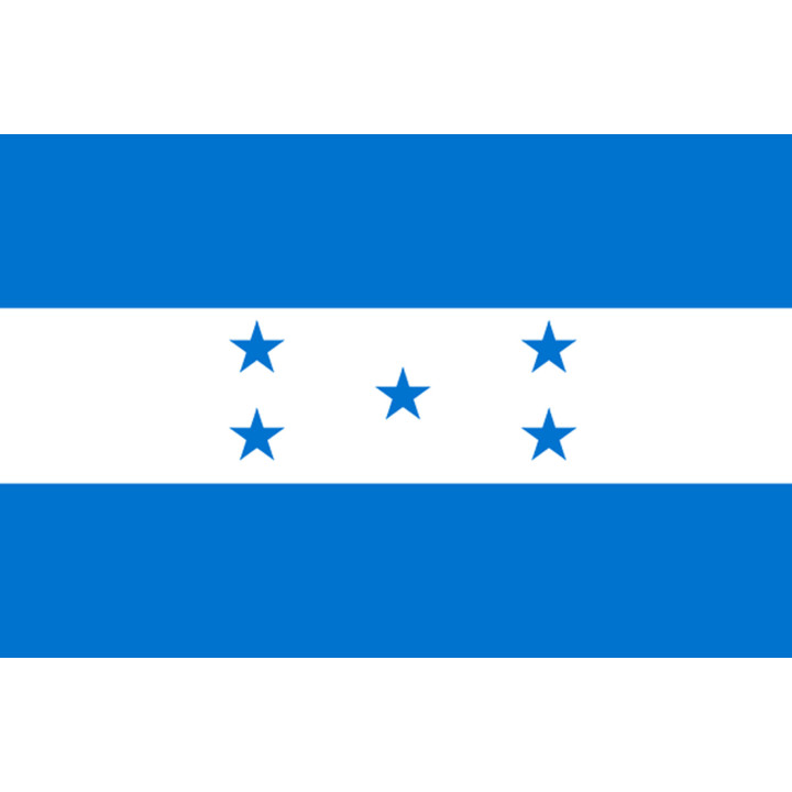 Drapeau Honduras - (19.5x13cm) - Sticker/autocollant