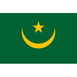 Drapeau Mauritanie (5x3.3cm) - Sticker/autocollant