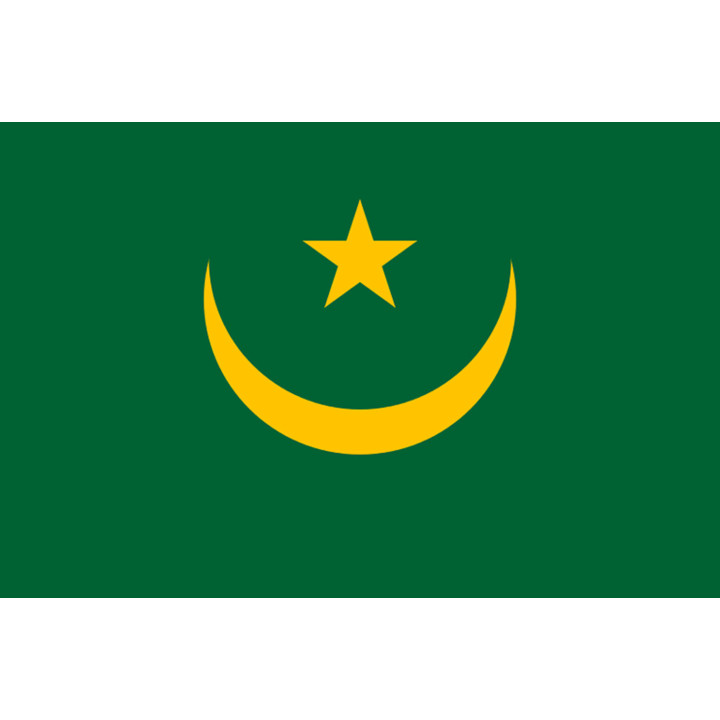 Drapeau Mauritanie (5x3.3cm) - Sticker/autocollant